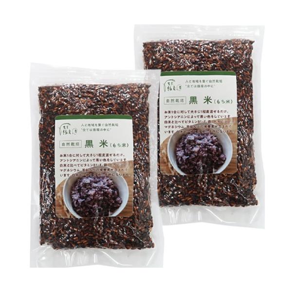 [メール便送料無料] 黒米　300g　２袋セット　無農薬　肥料不使用　自然栽培　　九州産　福岡県産