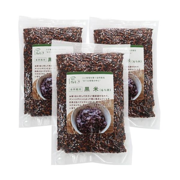 [メール便送料無料] 黒米　300g　3袋セット　無農薬　肥料不使用　自然栽培　　九州産　福岡県産