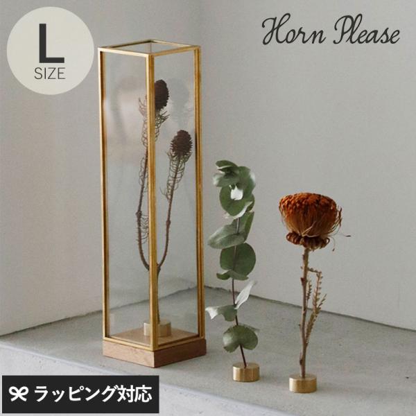 ディスプレイボックス ガラス 真鍮 おしゃれ ドライフラワー Horn Please ホーン プリーズ BRASSフレーム ディスプレイボックス トール L