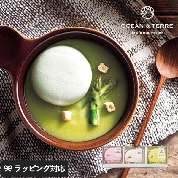 野菜スープ 最中 もなか プチ ギフト 甘くないもの 贈り物 おしゃれ 内祝い OCEAN ＆ TERRE 北海道 野菜スープMONAKAセットA