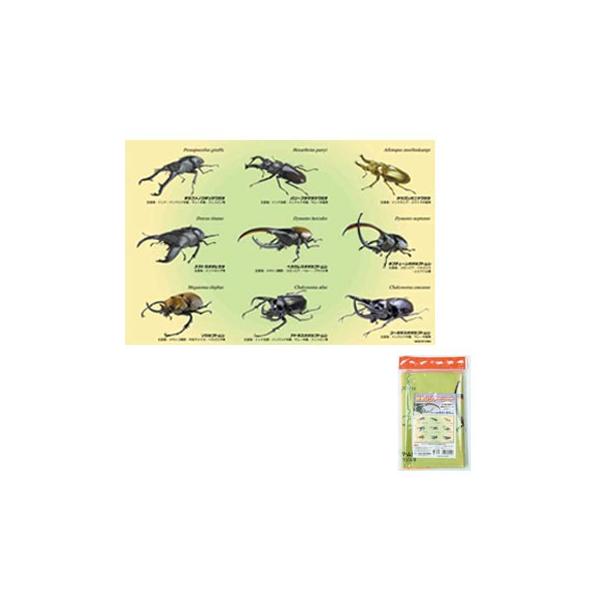 ■ジャンル:フィールドギア/外遊びグッズ/虫採り網 ■メーカー: エーワン  ○関連ワード:レジャー用品