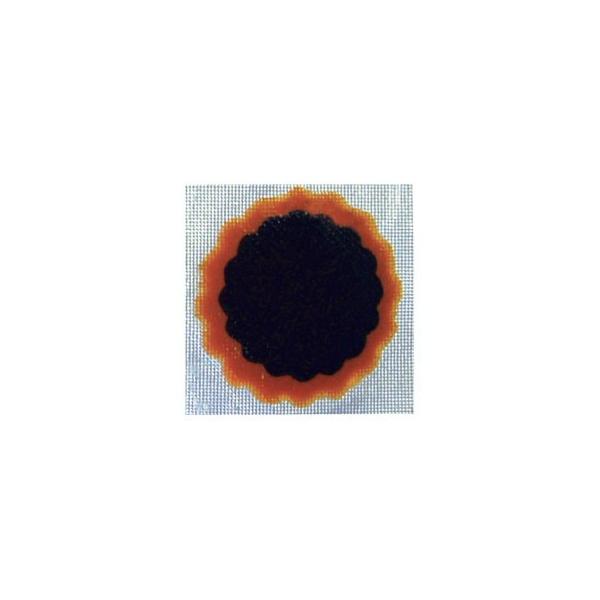 ]ԃeiXpi TIP TOP `[upb` XXL