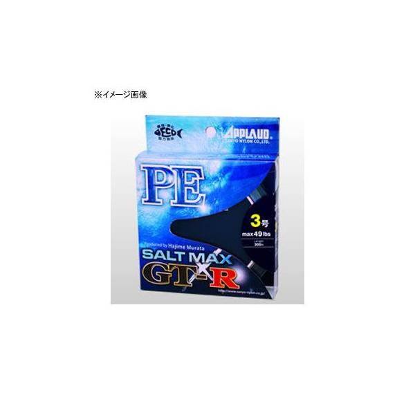 ���A�[�ނ�pPE���C�� �T�����[ �\���g�}�b�N�X GT-R PE 300m 3��/49lb