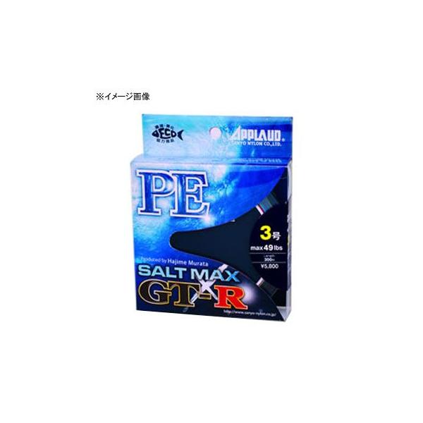 ���A�[�ނ�pPE���C�� �T�����[ �\���g�}�b�N�X GT-R PE 300m 2��/35lb