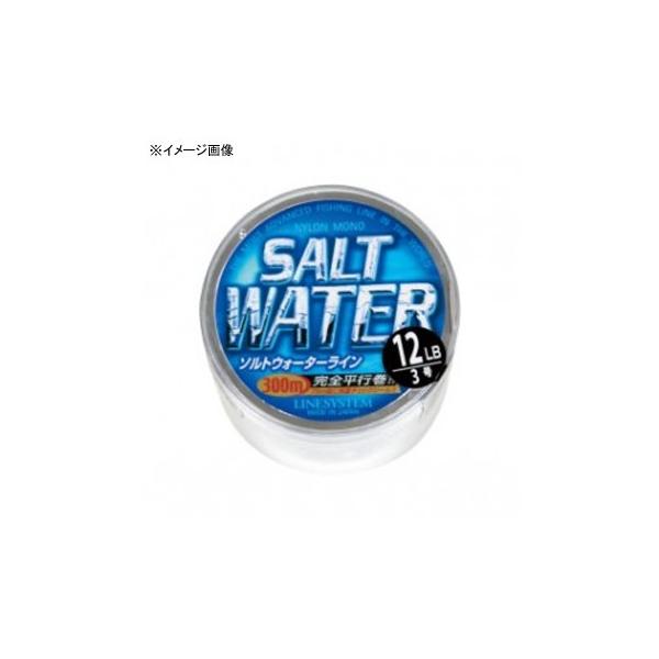 �{�r���������C�� ���C���V�X�e�� SALT WATER(�\���g�E�H�[�^�[) 300m 5��/20LB �u���[