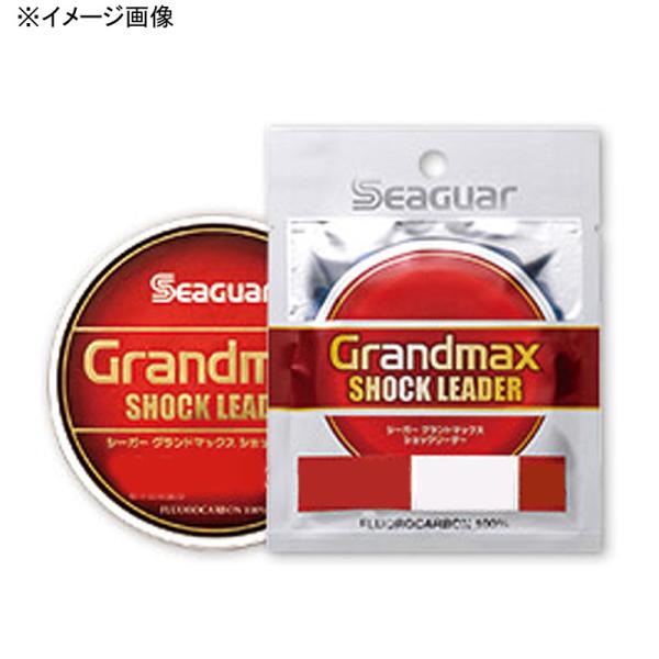 他サイト： 【店内全品+P5%】 クレハ シーガー グランドマックスショックリーダー 30m 4号 クリアーの商品画像