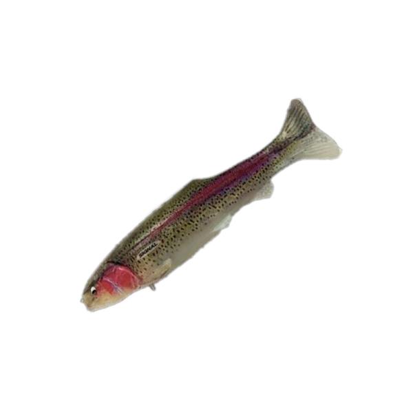 シグナル 1/1は全品+P5% バス釣り用ソフトルアー ウルトラカープ