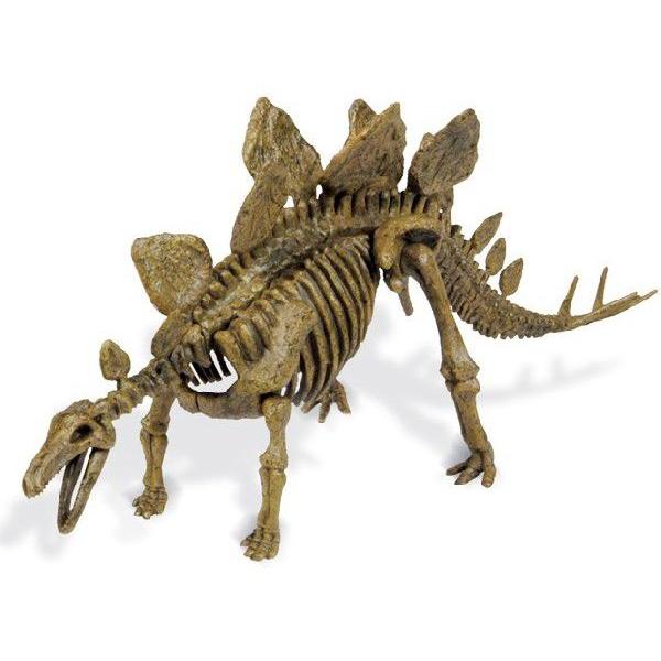 WI[hGEOWORLD  @Zbg @XeSTEX  CL-123K