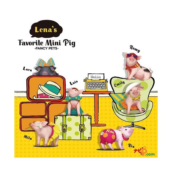 t@V[ybgV[Y4 [iY tFC@bg ~jsbO A\[gBOX (12) FANCY PETS Lena's Favorite Mini Pig assortbox FFP66306assort