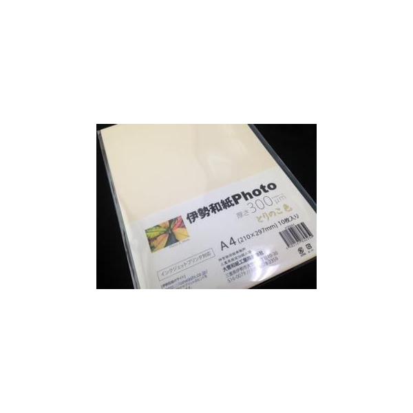 La ɐa Photo Ƃ̂F 300m TCYA4iܒPF10j kt300A4 ysz