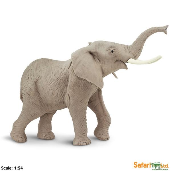 サファリ WW アフリカゾウ 動物 フィギュア XL 111089 : サファリ