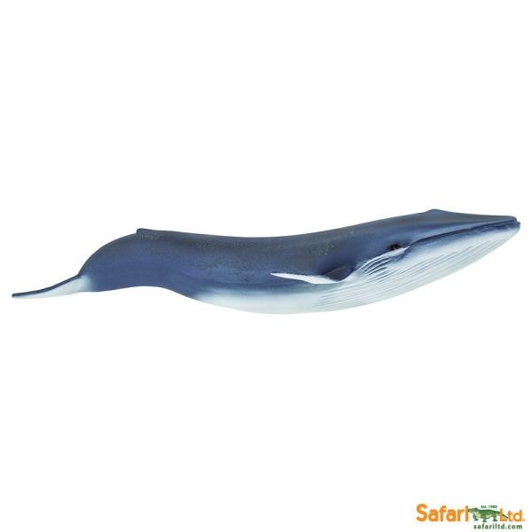 サファリ Safari シロナガスクジラ 鯨 フィギュア 223229