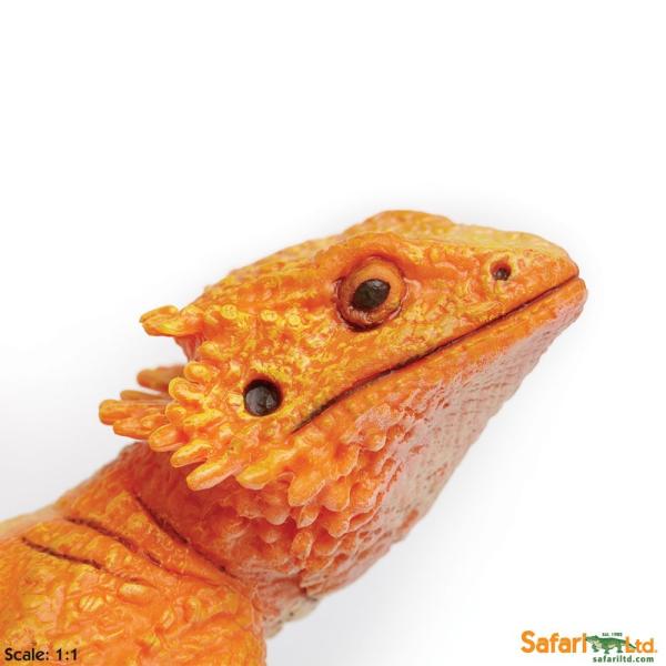 サファリ フトアゴヒゲトカゲ -XL 263129 Safari レプリカ :263129:サファリフィギュア専門店 NAVYS - Navys 263129 3