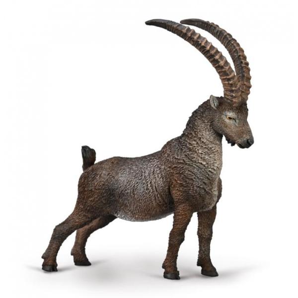 コレクタ CollectA アルプス アイベックス 動物 フィギュア 80020