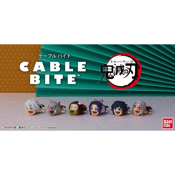 Search Results For ケーブルアクセ Dejapan Bid And Buy Japan With 0 Commission