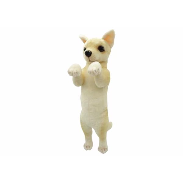 たっちぃZoo わんこ チワワ たっちぃZOO ちわわ 株式会社リード正規品