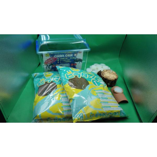 クワガタムシの飼育に便利な飼育セットになりますセット内容クリーンケースM　サイズW305mm×D195mm×H232mmヒラタノコマット５L　２袋昆虫ゼリー　15個エサ皿　１個転倒防止木　１個