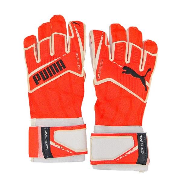 (v[}) PUMA/GHXs[h 3.4/ouXgXzCg/041169-01