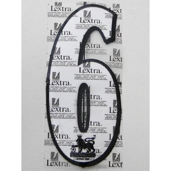 (X|[eBOID) SPORTING ID/97-07V[Y/v~A[O/wԍ6/IpTCY/ȈՔz(CARD̂ݑύX/1_/ۏᖳ)