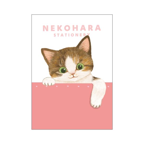 ノート 猫雑貨 文具 ねこハラ B6 ピンク かわいい プレゼント