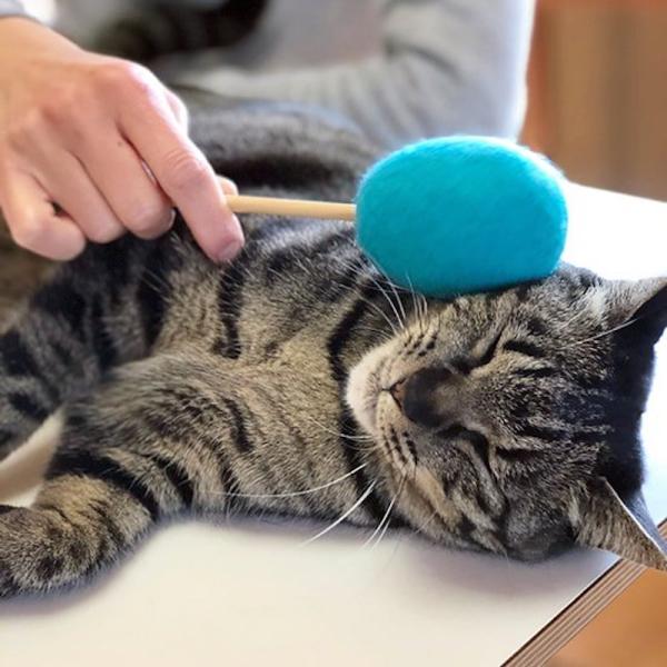 ネコトントン NEKOKURA MARKET おもちゃ 猫用