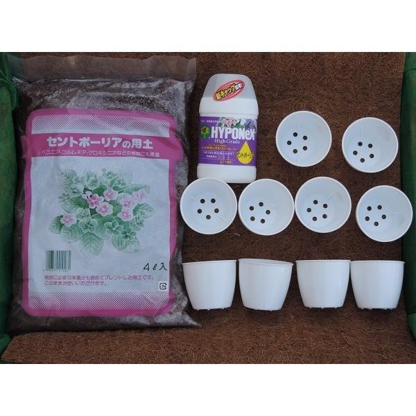 セントポーリアの土 と 植え替えポット と 専用肥料 のセット Buyee Buyee Japanese Proxy Service Buy From Japan Bot Online