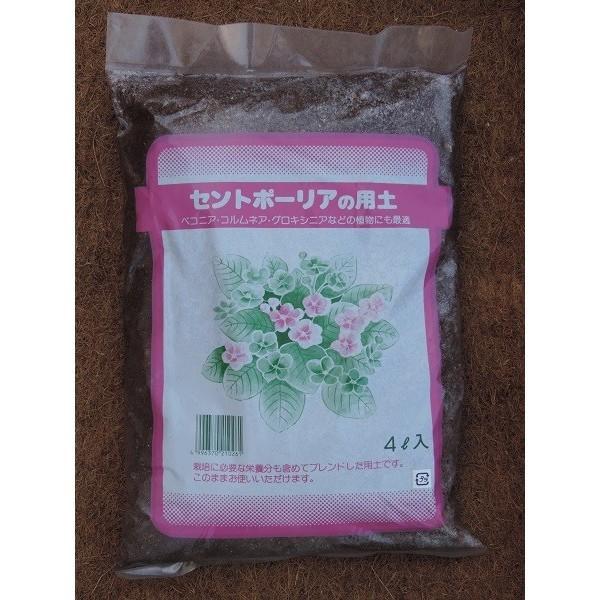 セントポーリアの土 と 植え替えポット と 専用肥料 のセット Buyee Buyee Jasa Perwakilan Pembelian Barang Online Di Jepang