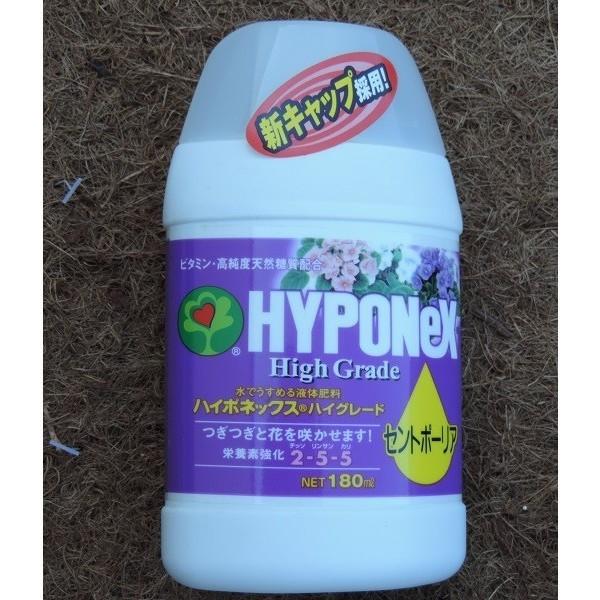 セントポーリアの土 と 植え替えポット と 専用肥料 のセット Buyee Buyee Jasa Perwakilan Pembelian Barang Online Di Jepang