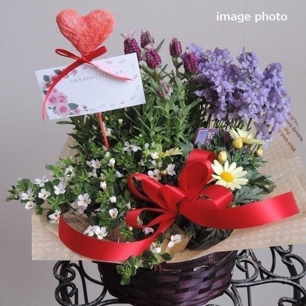 誕生日 父の日 母の日 記念日 お祝い 季節の花 ギフト 夏の花遊び 寄せ鉢バスケット 人気 おまかせ オリジナル アレンジ 寄せかご 鉢花 プレゼント Buyee Buyee Japanese Proxy Service Buy From Japan Bot Online