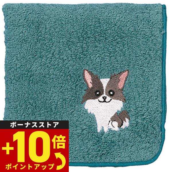 阪急ハロードッグ オーガニックコットン ハンカチタオル チワワ ブルー 犬柄