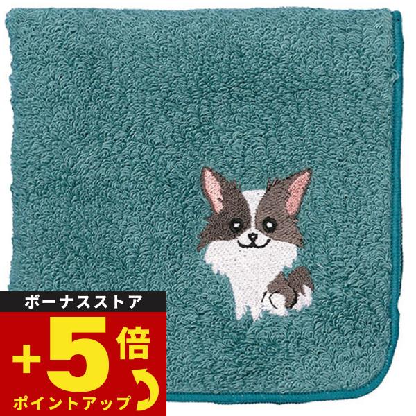 阪急ハロードッグ オーガニックコットン ハンカチタオル チワワ ブルー 犬柄