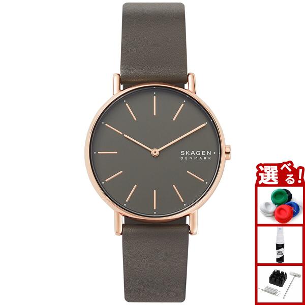他サイト： スカーゲン SKAGEN 腕時計 レディース SKW2794の商品画像