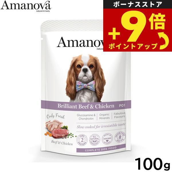 ハヤブサ Amanova Pouch Adult Brilliant Beef ＆ Chi100g