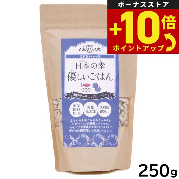 nico cook 日本の幸 優しいごはん 津軽サーモンとブルーベリー 250g 国産 無添加 手作りごはん トッピング