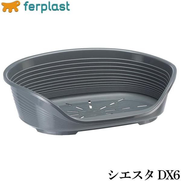 �{�X+5�{�I�ő�|�C���g26�{�I�{������I�t�@�[�v���X�g �x�b�h �V�G�X�^ DX 6 �_�[�N�O���[ �x�b�h ���^�� �I�[���V�[�Y�� ���i�摜