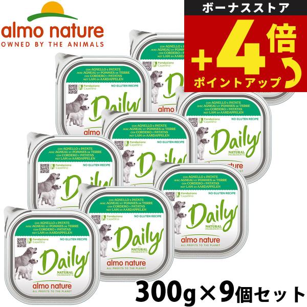 デイリーメニュー ラムとポテト入りお肉のご馳走