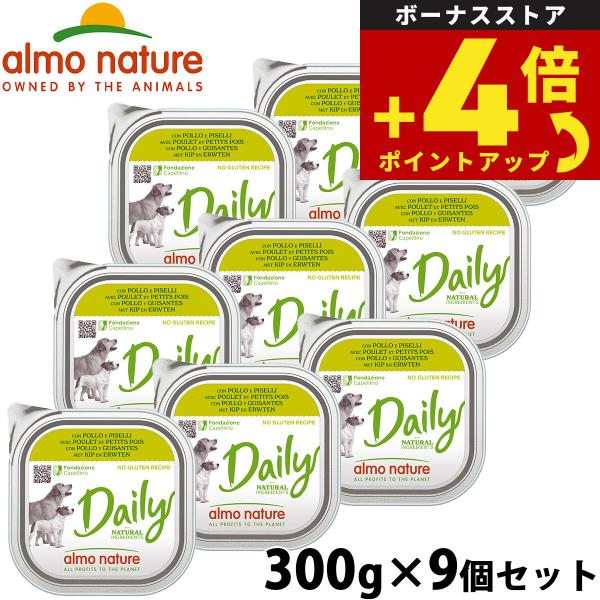 デイリーメニュー チキンとエンドウ豆入りお肉のご馳走