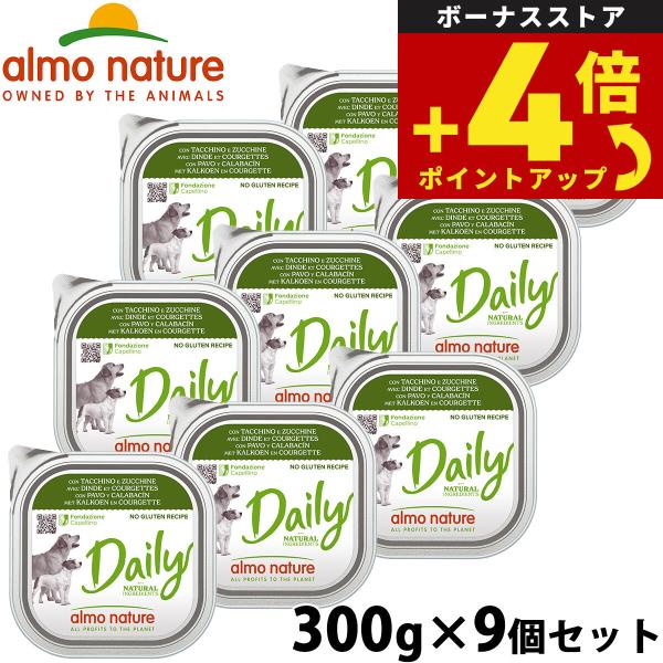 デイリーメニュー 七面鳥とズッキーニ入りお肉のご馳走