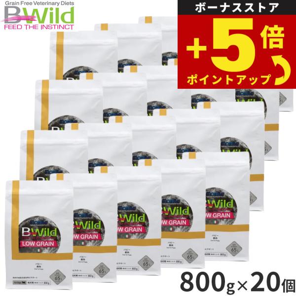 倍々+5倍！最大ポイント26倍！本日限定！ビーワイルド B Wild