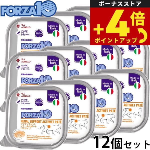 フォルツァ10 キャットフード アクティウェット リナール 腎臓の健康維持のための食事療法食 100g×12個 無添加