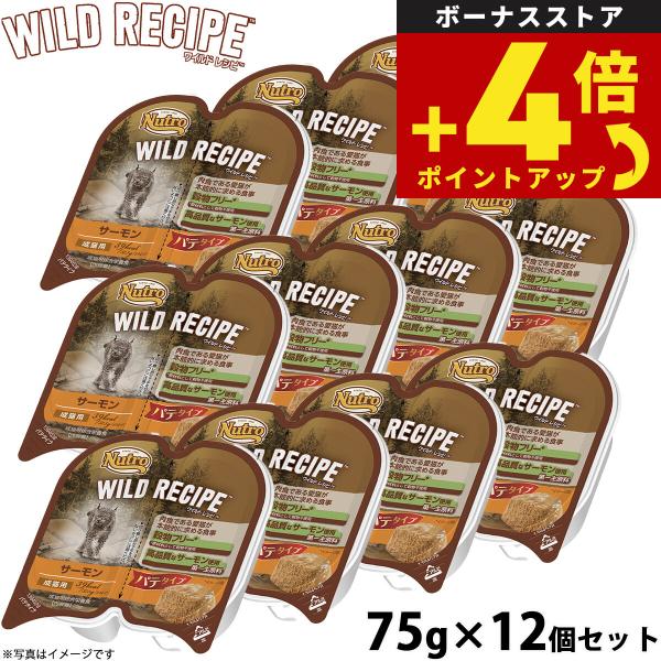 ニュートロ ワイルドレシピ 成猫用 サーモン パテタイプ 75g×12個