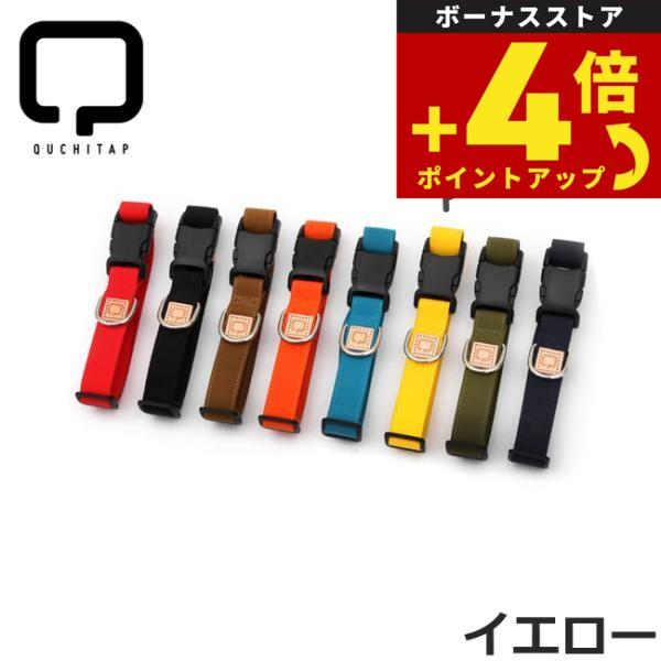 セボナーコレクション カラ-