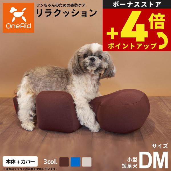 倍々+5倍！最大ポイント26倍！本日限定！ : ペットショップkojikoji