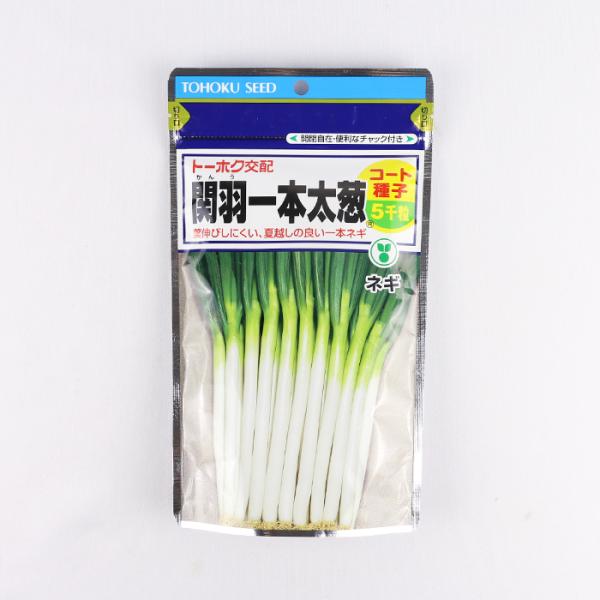 今期物　ネギ種　関羽一本太　ペレット5000粒　×2袋セット① トーホク種苗 関羽一本太葱 コート5000粒 トーホク種苗 ネギ種 : ネギ参謀オンライン