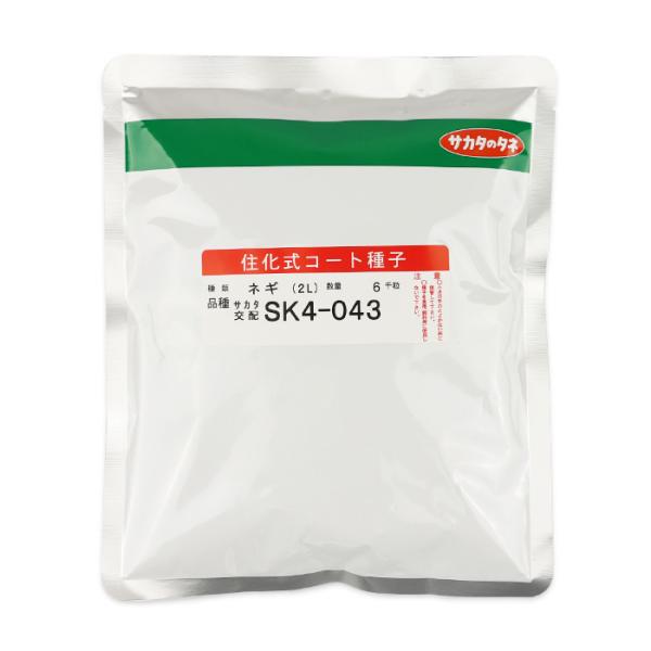 冬扇043(SK4-043) コート6000粒 サカタのタネ ネギ種 : ネギ参謀