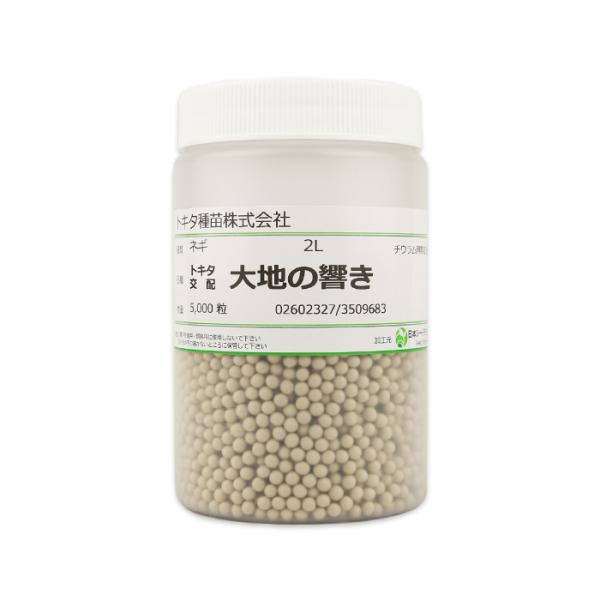 商品名：大地の響き伸びが良く、比較的根が強い。倒伏だけ注意。早生・早太り・トップクラスの根の強さ。特性1. 酷暑期の発根の衰えがなく、夏越し良好。2. 盛夏どり、低温伸長性をいかして秋冬どりに好適。3. 伸張のある合黒草姿の早生F1品種です...