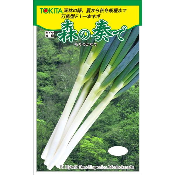 森の奏で 1dl トキタ種苗 ネギ種 メーカー直送