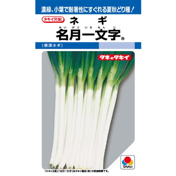 名月一文字(TNE-765) コート5000粒 タキイ種苗 ネギ種 メーカー直送