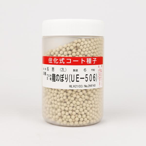 龍のぼり(UE-506) コート6000粒 横浜植木 ネギ種 メーカー直送