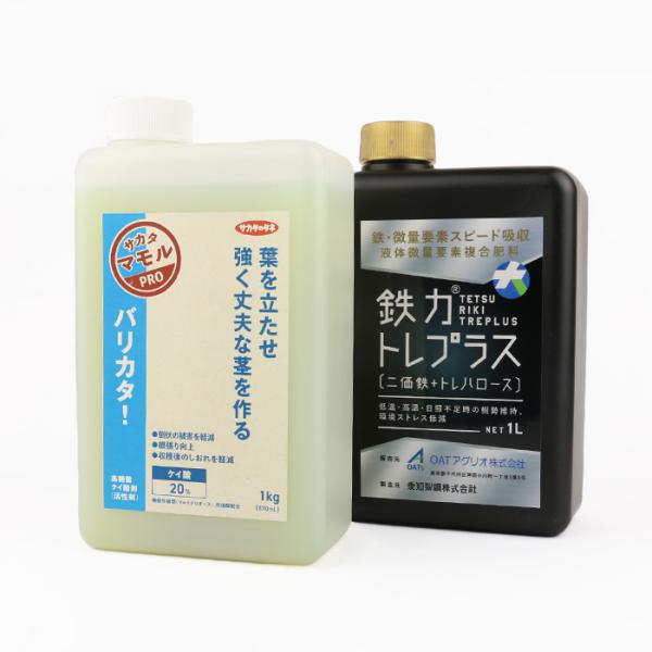 ネギ夏越しセット(バリカタ！1kg&鉄力トレプラス1L) 肥料 液肥